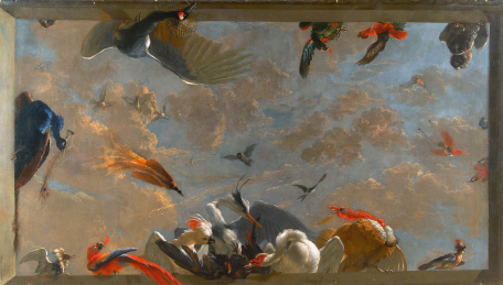 Птицы на фоне облаков