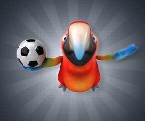 Попугай с футбольным мячом