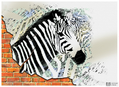 Граффити с зеброй