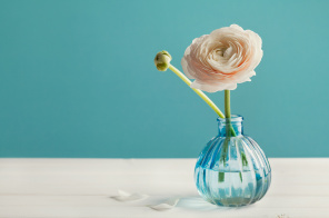 Воздушный цветок в голубой вазе