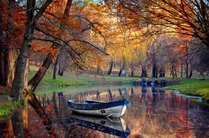 Красочная осень в парке с прудом