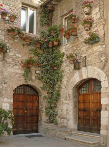 Мощеные стены с комнатными растениями и плющом