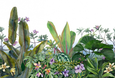 Тропические цветы и листья акварелью
