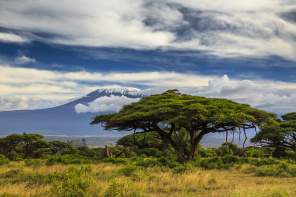 Потрясающие пейзажи Килиманджаро