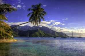 Французская Полинезия. Пейзаж гор и моря с пальмами