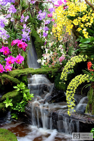 Цветы у водопада