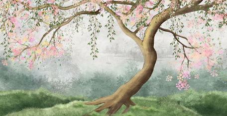 Раскидистое дерево сакуры