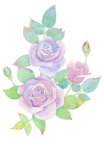 Сиреневые розы акварель