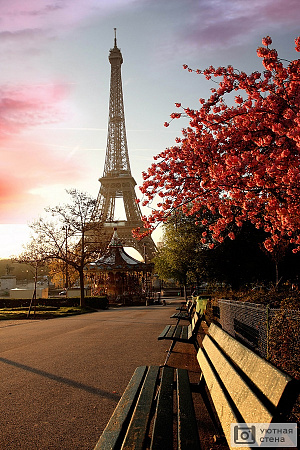 Фотообои Сакура на фоне Эйфелевой башни,  Париж, Франция