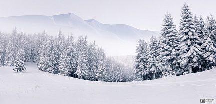 Фотообои Туманный зимний пейзажа в горах