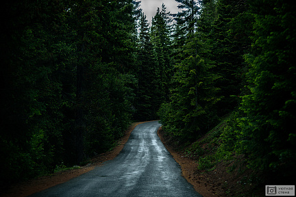 Дорога после дождя