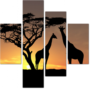 Очертания жирафов на закате