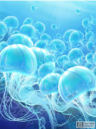 3D пол Медузы