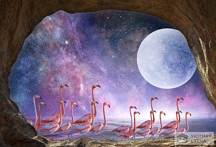Завораживающий вид на стаю фламинго