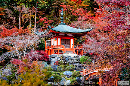 Осенний сезон в японском парке