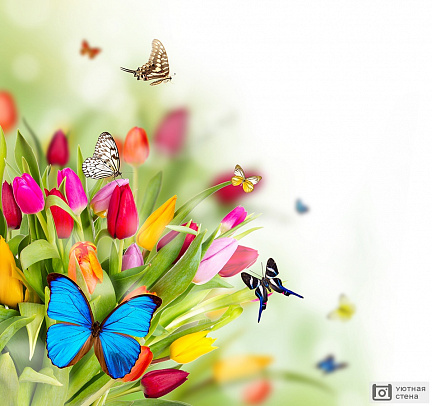 Рисунок с цветами и бабочками