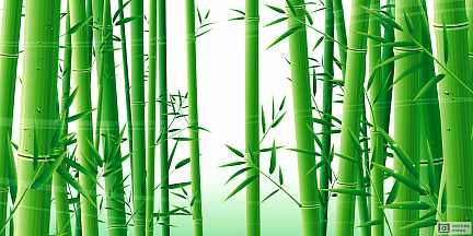 Стройные стебли бамбука