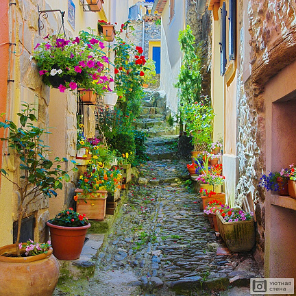 Красочная и узкая улица в поселке Прованс