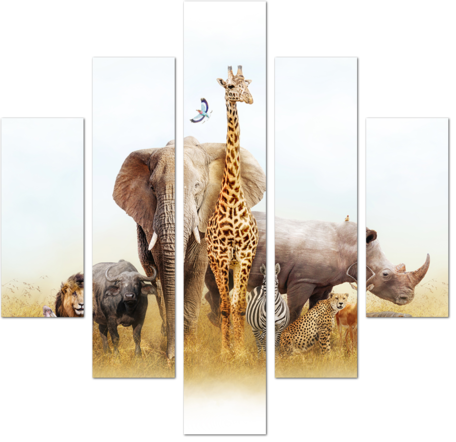 Многообразие животных Африки