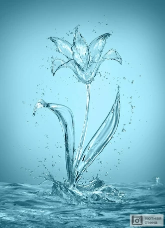 Цветок из капель воды