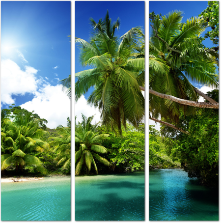 Тропическое побережье с пальмами
