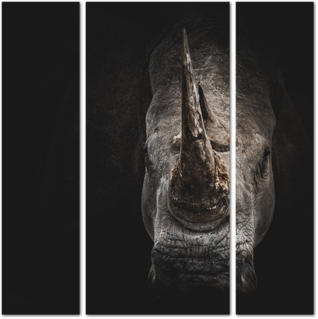 Мужественный носорог на темном фоне