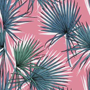 Листья пальмы на розовом фоне