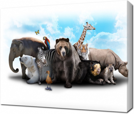 Коллаж с дикими животными