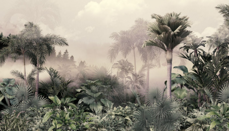 Предрассветный туман в джунглях