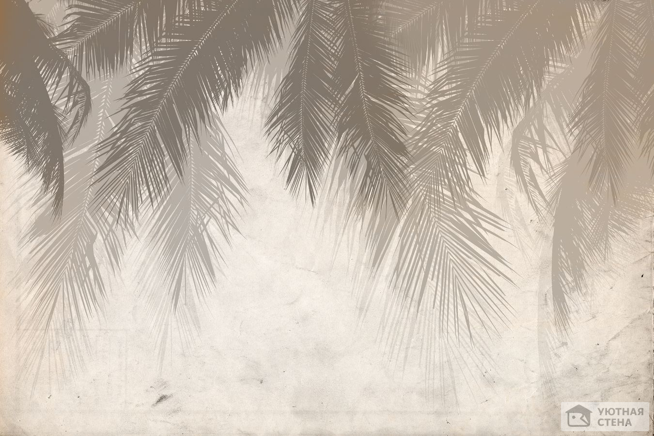 Пушистые силуэты пальмовых листьев