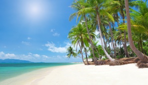 Тропический пляж в солнечную погоду