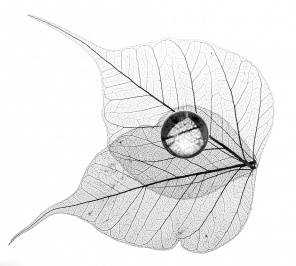 Стеклянный шар на кружевных листьях