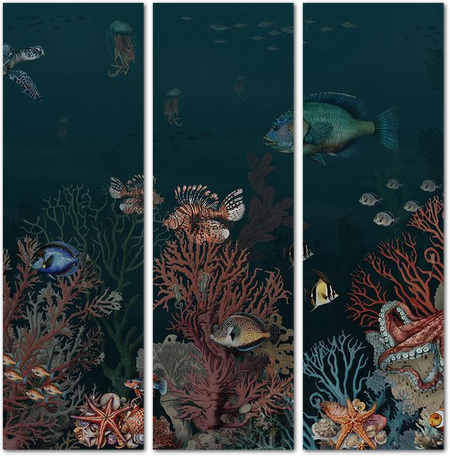 Диковины подводного мира