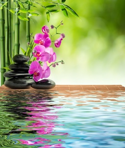 Розовые орхидеи, камни и бамбук на воде