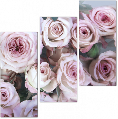 3D Цветные розы