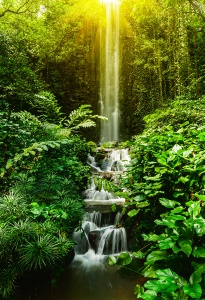 Тропический водопад освещенный солнцем