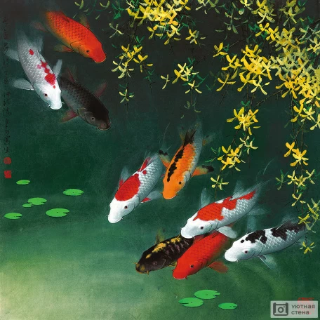 Карпы Кои