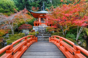 Мостик, ведущий к храму в парке Киото. Япония
