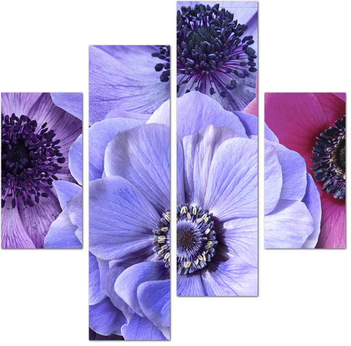 Фиолетовые соцветия