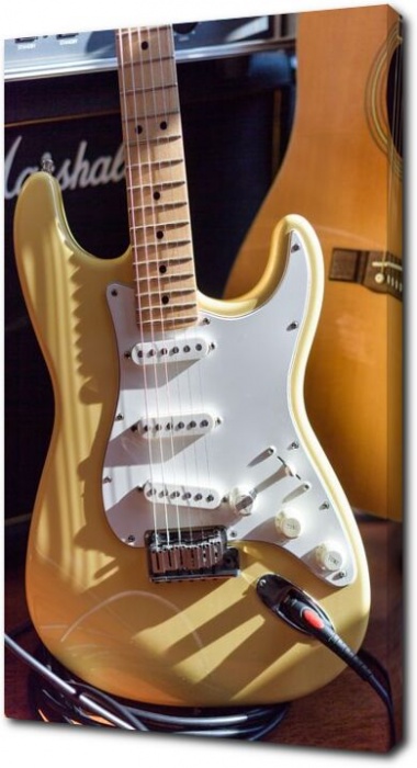 Электрогитара Stratocaster