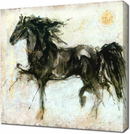 Рисунок черного коня