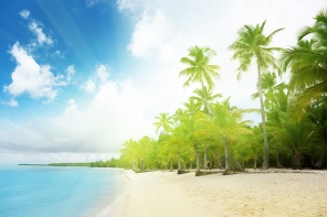 Карибское море и пальмы