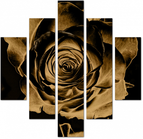 Винтажный цветок розы