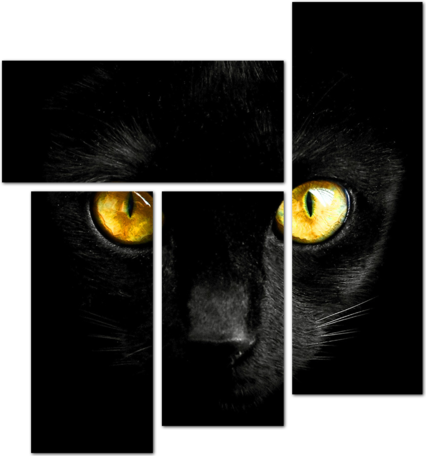Желтые глаза черного кота в темноте