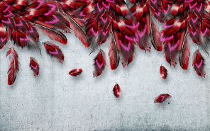 Розово-красные перья на светло-сером фоне