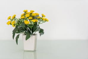 Желтые цветы в керамической вазе
