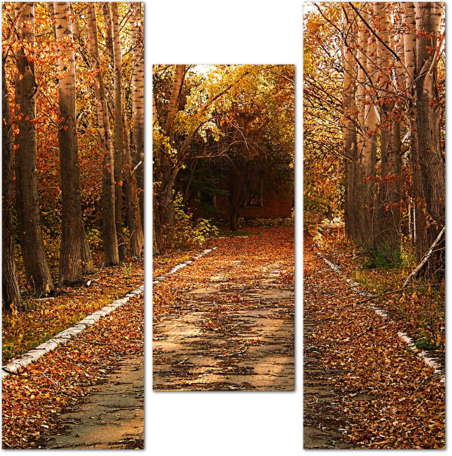 Дорога в осеннем парке усыпанная листьями