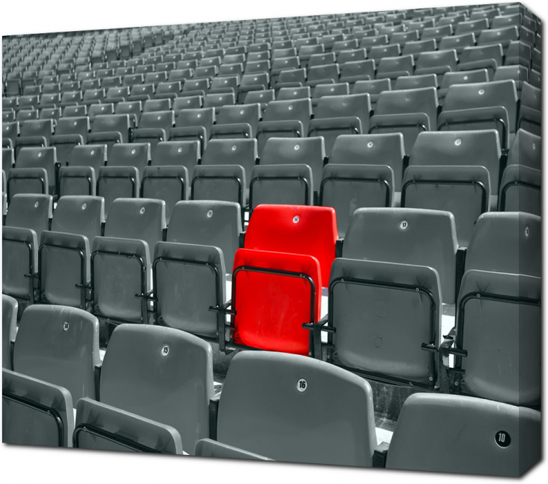 Черно-белое изображение стадиона с одним красным сиденьем