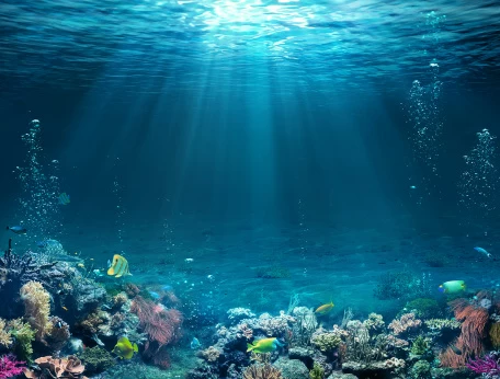 Свет проникающий в морские глубины