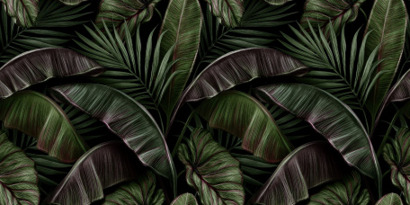 Бесподобные листья тропических растений